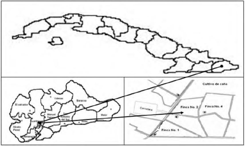 Figura 1. Ubicación del área experimental.