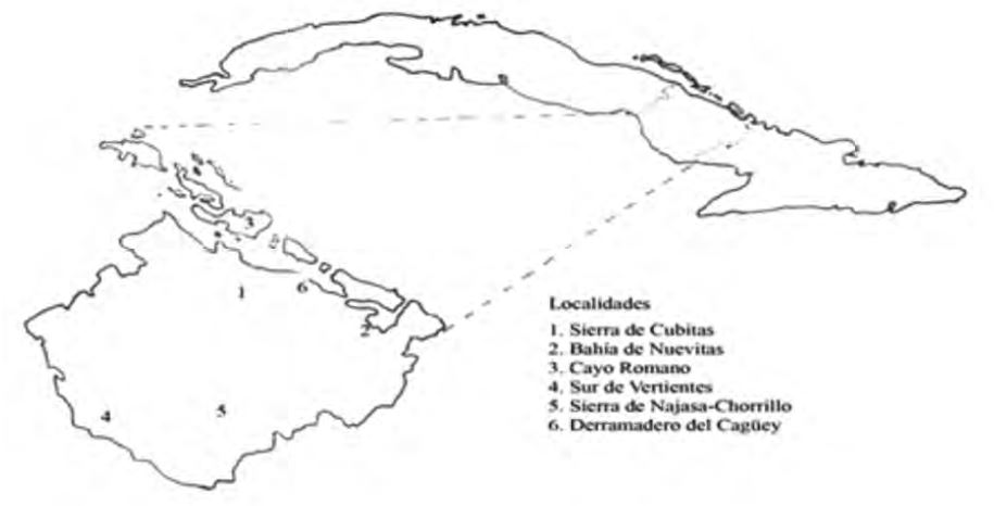 Figura 1. Localización geográfica de poblaciones de palmas en la provincia de Camagüey.