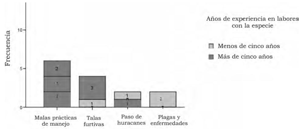 Figura 1. Causas fundamentales del deterioro de las plantaciones de bambú.