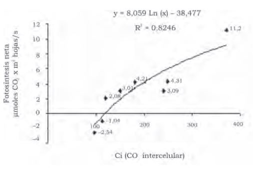 Figura 1. Curva de saturación de CO2 en Bambusa vulgaris.