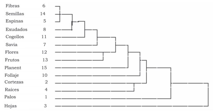 Dendrograma de conglomerados para las categorías de PFNM utilizadas por especie.