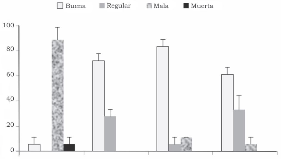 Porcentaje de plantas de mezquite en cada aspecto visual registradas en la evaluación de cuatro dosis de hidrogel para retener agua en el suelo (Durango, 2011).