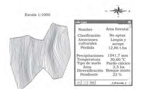 Área destinada para el bosque mixto, representada mediante datos de un Sistema de Información Geográfica (SIG).