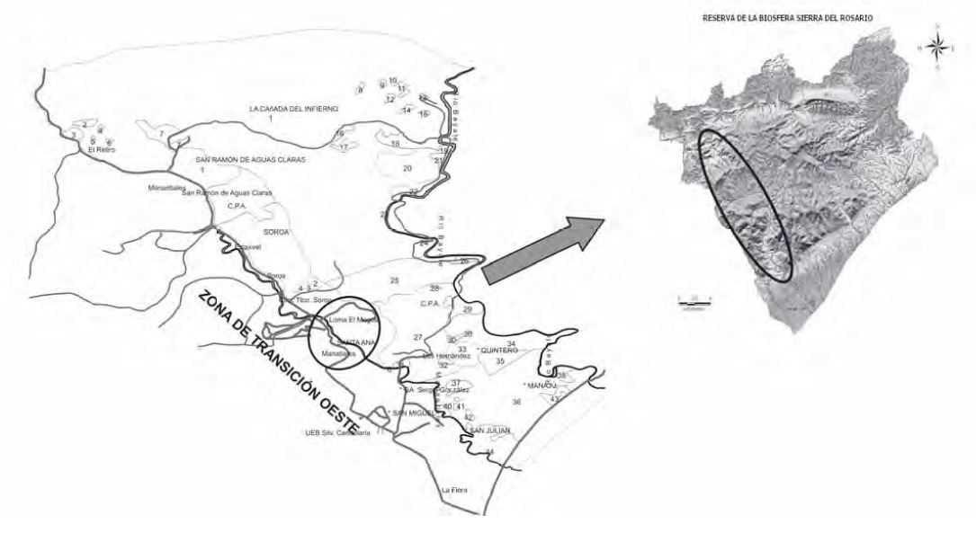 Representación de la montaña El Mogote en la zona de transición oeste de la RBSR.