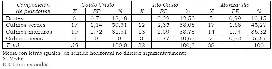 Composición estructural de los plantones de Bambusa vulgaris Schrarder ex Wendland