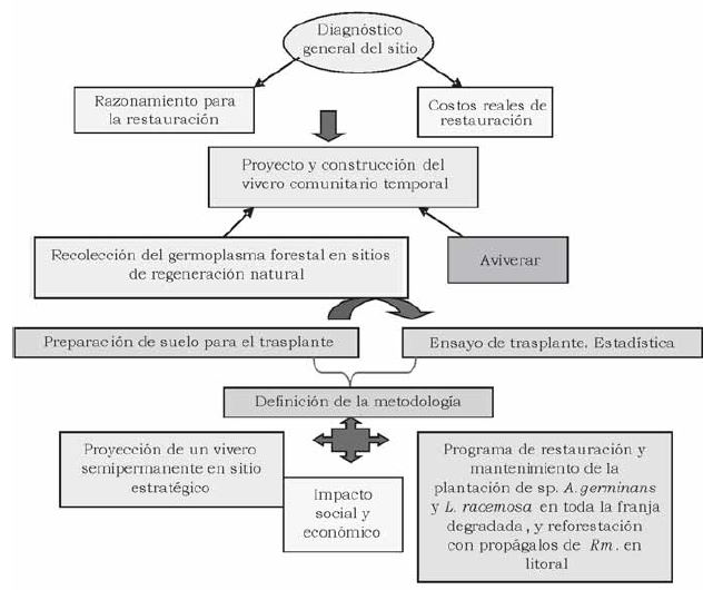 Esquema metodológico.