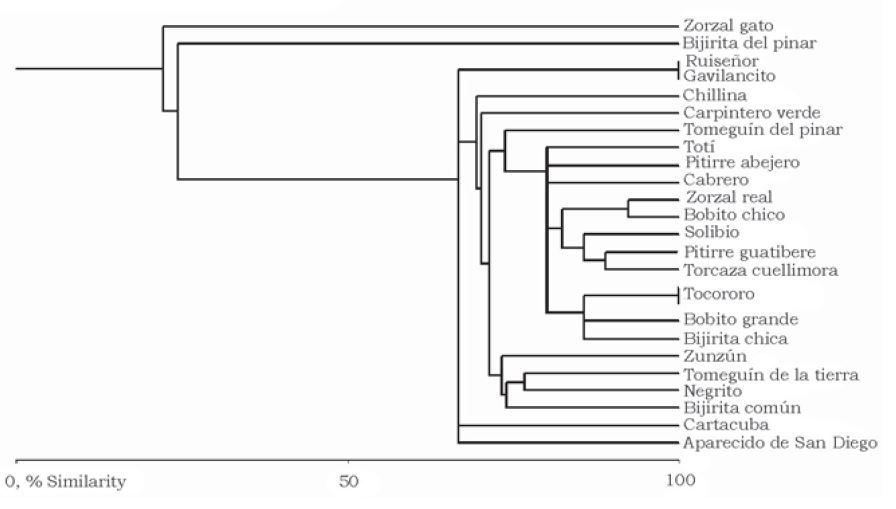 Dendrograma. Clasificación por la agrupación de especies de aves.