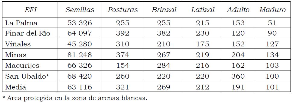 Existencia de semillas, posturas, brinzales, latizales y árboles adultos y maduros en las parcelas estudiadas (valores por hectárea)