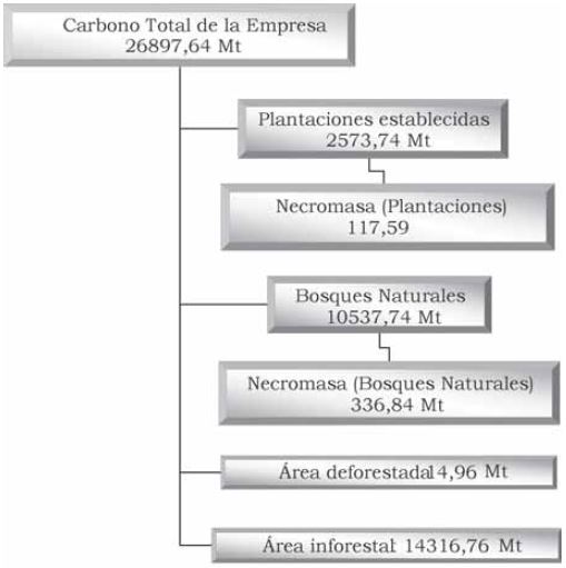 Total de carbono retenido por la empresa para el año base
